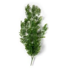 Coupon ❤️ 12 Pack: Green Boxwood Bush by Ashland® 💯