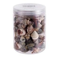 Best deal ✔️ 12 Pack: Natural & Dark Mixed Shells by Ashland® 👍 7 Best deal ✔️ 12 Pack: Natural & Dark Mixed Shells by Ashland® 👍 -Ashland Shop 10627359 1 1