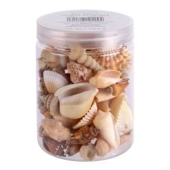 Brand new ⌛ Natural Medium Sea Shell Mix by Ashland® ⭐ 7 Brand new ⌛ Natural Medium Sea Shell Mix by Ashland® ⭐ -Ashland Shop 10627361 1