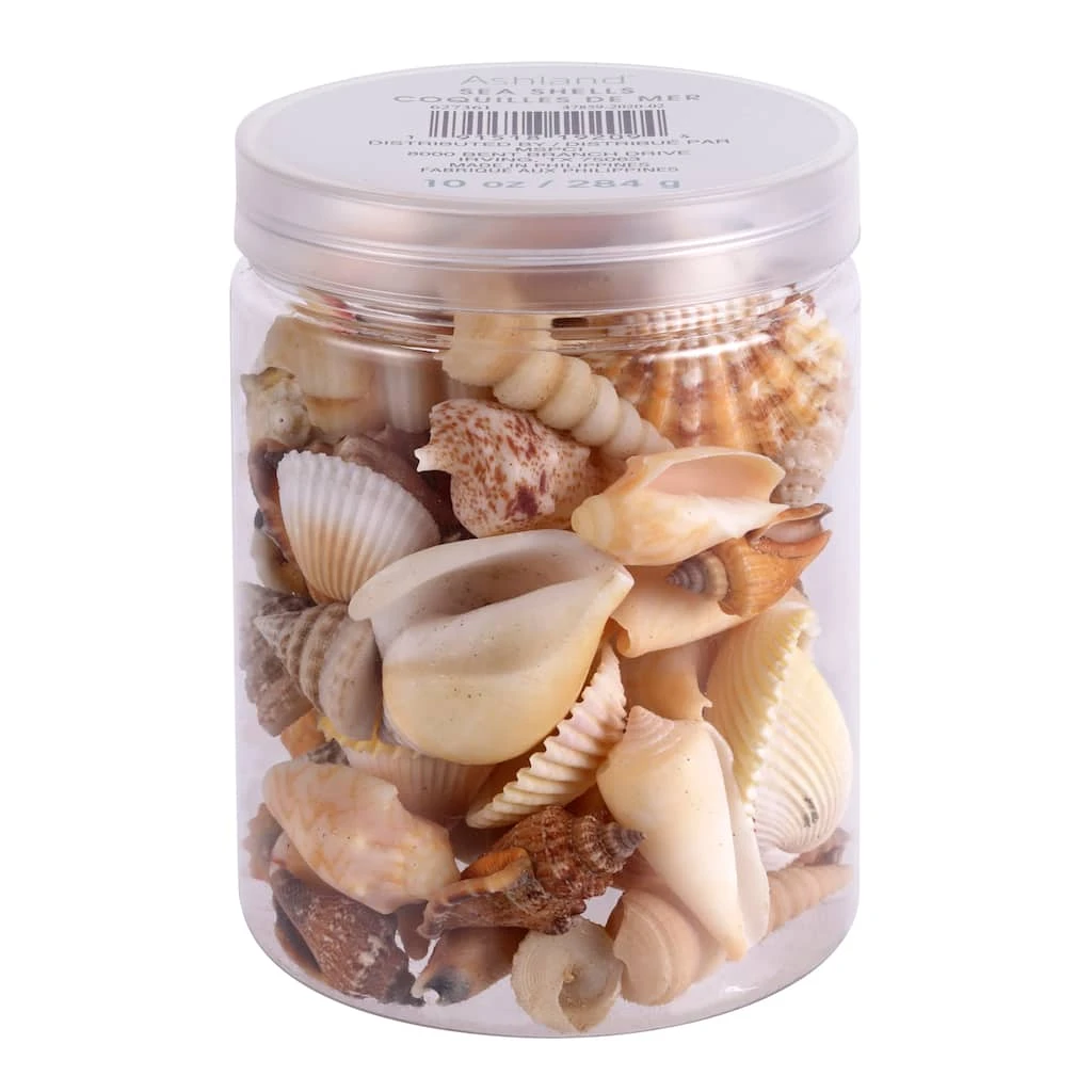 Brand new ⌛ Natural Medium Sea Shell Mix by Ashland® ⭐ 5 Brand new ⌛ Natural Medium Sea Shell Mix by Ashland® ⭐ - Image 3