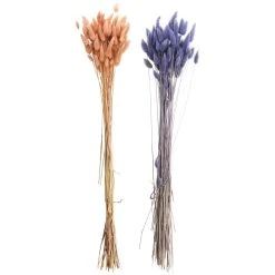 Discount 🤩 8 Pack: Assorted Lagurus Bundle by Ashland® ✨