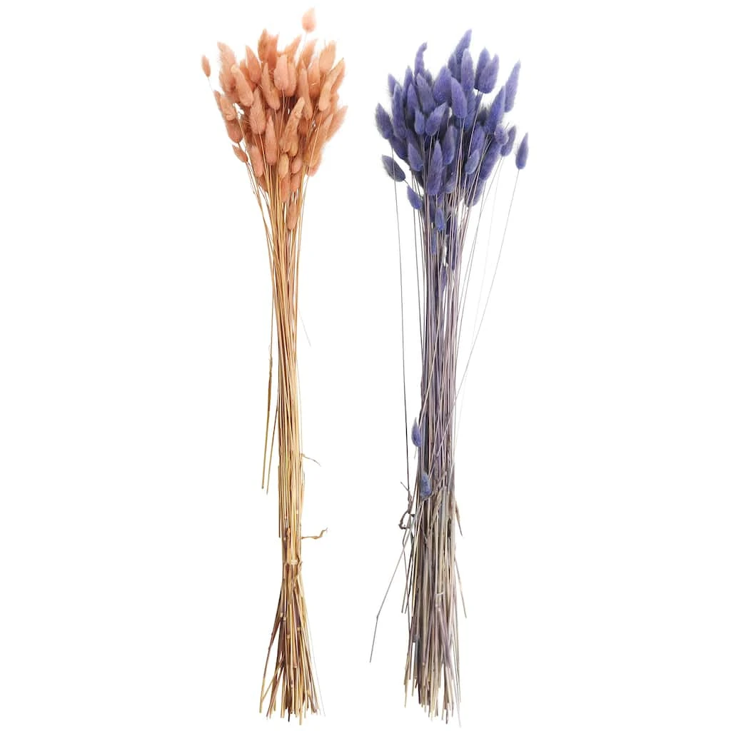 Discount 🤩 8 Pack: Assorted Lagurus Bundle by Ashland® ✨ 3 Discount 🤩 8 Pack: Assorted Lagurus Bundle by Ashland® ✨