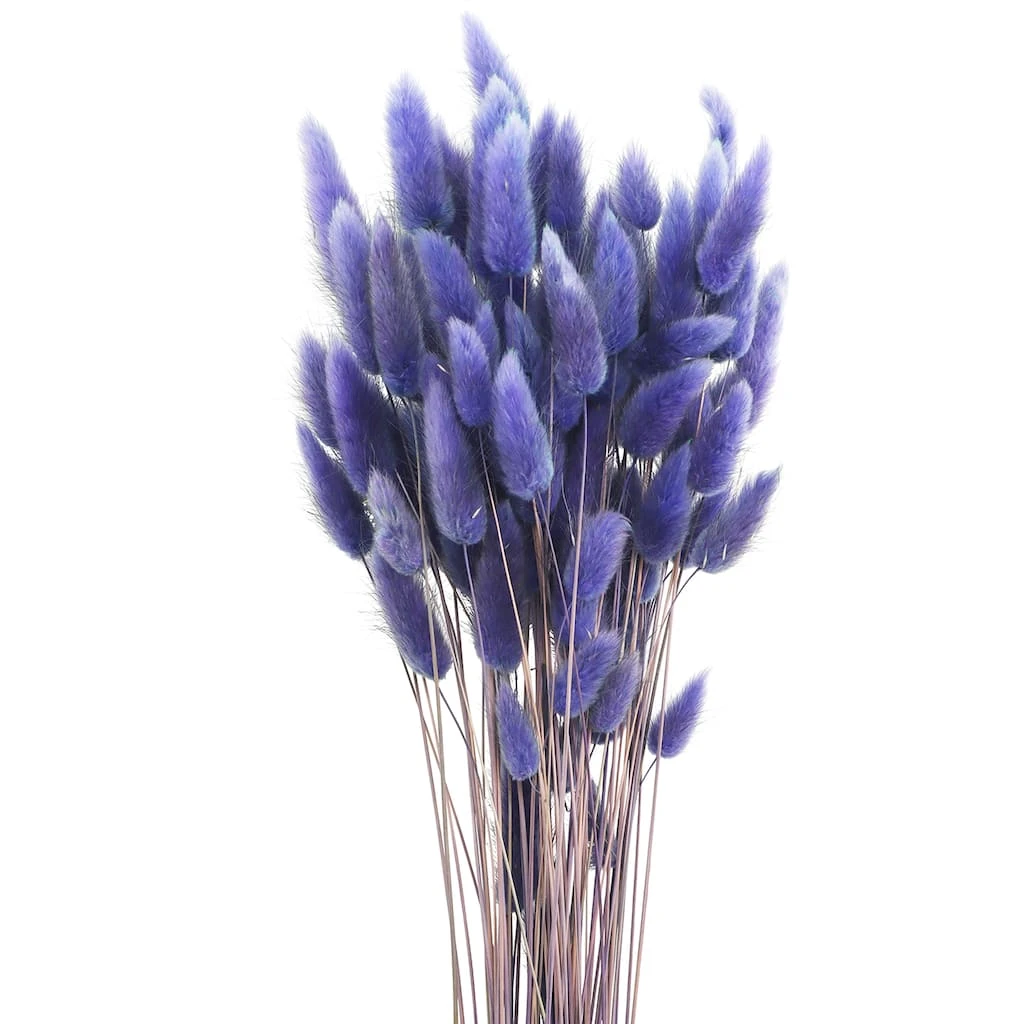 Discount 🤩 8 Pack: Assorted Lagurus Bundle by Ashland® ✨ 4 Discount 🤩 8 Pack: Assorted Lagurus Bundle by Ashland® ✨ - Image 2