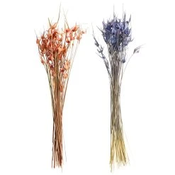 Wholesale ⌛ 8 Pack: Assorted Star Grass Bundle by Ashland® 😍