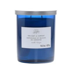 New 🥰 Twilight & Currant 2-Wick Jar Candle by Ashland® 🌟