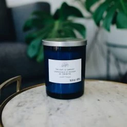 New 🥰 Twilight & Currant 2-Wick Jar Candle by Ashland® 🌟 -Ashland Shop 10638398 2