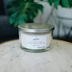 Coupon 🤩 Vanilla Bean & Tonka 3-Wick Jar Candle by Ashland® 🌟 -Ashland Shop 10638409 2
