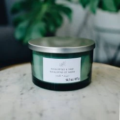 Discount ⭐ Eucalyptus & Sage 3-Wick Jar Candle by Ashland® ✨ -Ashland Shop 10638411 2