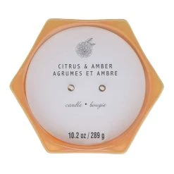 Best deal 👏 Citrus & Amber 2-Wick Jar Candle by Ashland® ⌛