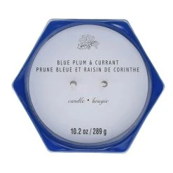 Best deal ⭐ Blue Plum & Currant 2-Wick Jar Candle by Ashland® 🛒