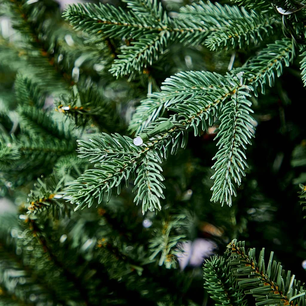 Cheap 🌟 7.5ft. Pre-Lit Laurel Pine Artificial Christmas Tree, Multicolor Twinkly™ LED Lights by Ashland® ✨ 8 Cheap 🌟 7.5ft. Pre-Lit Laurel Pine Artificial Christmas Tree, Multicolor Twinkly™ LED Lights by Ashland® ✨ - Image 6