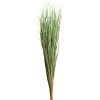 Cheapest ⌛ 8 Pack: Green Magnolia Flax Grass Bundle by Ashland® ⌛ -Ashland Shop 10646374 1