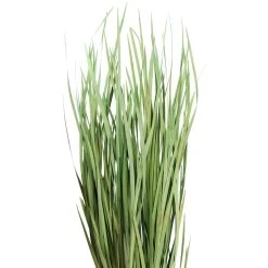 Cheapest ⌛ 8 Pack: Green Magnolia Flax Grass Bundle by Ashland® ⌛ -Ashland Shop 10646374 2