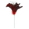 Wholesale 🛒 Red Peacock Feather Pick by Ashland® 💯 -Ashland Shop 10656544 1