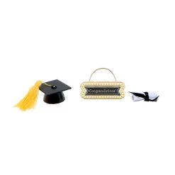 Promo 🔔 12 Pack: Mini Graduation Set by Ashland® ✔️