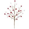Buy β Red & White Berry Pick by Ashland® β€οΈ 2 Buy β Red & White Berry Pick by Ashland® β€οΈ -Ashland Shop 10670063 1