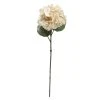 Deals ⌛ Cream Hydrangea Stem by Ashland® 🔔 -Ashland Shop 10670751 1