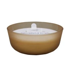 Brand new 🧨 6 Pack: 18.7oz. Grapefruit & Honey Candle by Ashland® ⌛