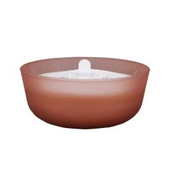 Brand new 👍 18.7oz. Peony & Rose Candle by Ashland® 🔥