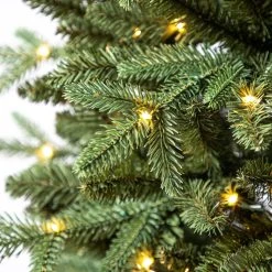 Promo 🌟 7ft. Pre-Lit Denison Slim Fir Artificial Christmas Tree, Fairy Warm White LED Lights by Ashland® 🔔 13 Promo 🌟 7ft. Pre-Lit Denison Slim Fir Artificial Christmas Tree, Fairy Warm White LED Lights by Ashland® 🔔 -Ashland Shop 10671962 11