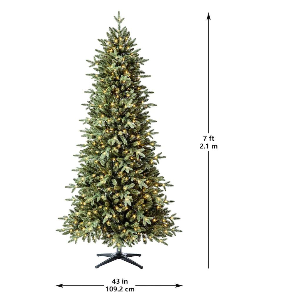 Promo 🌟 7ft. Pre-Lit Denison Slim Fir Artificial Christmas Tree, Fairy Warm White LED Lights by Ashland® 🔔 8 Promo 🌟 7ft. Pre-Lit Denison Slim Fir Artificial Christmas Tree, Fairy Warm White LED Lights by Ashland® 🔔 - Image 6