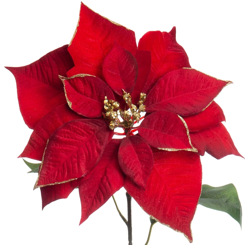 Best deal 😉 Red & Gold Glitter Poinsettia Stem by Ashland® ⭐ 4 Best deal 😉 Red & Gold Glitter Poinsettia Stem by Ashland® ⭐ - Image 2