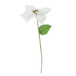 Best reviews of 💯 White Poinsettia Stem by Ashland® 🔔