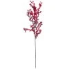 Best reviews of 🔥 Red Clustered Berry Stem by Ashland® 🎁 -Ashland Shop 10673719 1