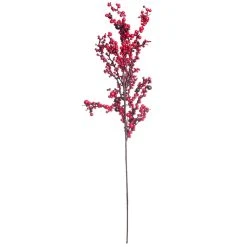 Best reviews of 🔥 Red Clustered Berry Stem by Ashland® 🎁