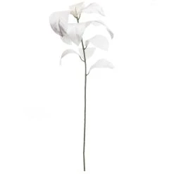 Buy 🥰 White Velvet Magnolia Leaves by Ashland® ⭐