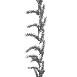 Best reviews of ⌛ 6ft. Silver Pine Garland by Ashland® ✨