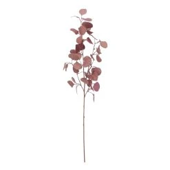 Best deal 👍 Pink Eucalyptus Stem by Ashland® 🤩