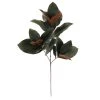 Deals ⭐ Dark Green Magnolia Leaves Stem by Ashland® ✔️ 1 Deals ⭐ Dark Green Magnolia Leaves Stem by Ashland® ✔️ -Ashland Shop 10674564 1