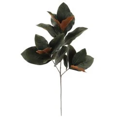 Deals ⭐ Dark Green Magnolia Leaves Stem by Ashland® ✔️