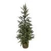 Hot Sale 👏 3ft. Pine Tree in Basket by Ashland® ⌛