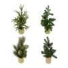 Best Pirce 😍 Assorted 16" Potted Artificial Christmas Tree by Ashland® ⭐
