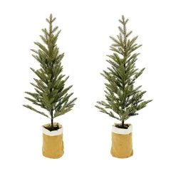Hot Sale ⌛ Assorted 3ft. Pine Tree in Burlap Bag by Ashland® ❤️