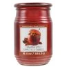 Promo 🤩 Cinnamon Apples Jar Candle by Ashland® 🌟 -Ashland Shop 10675793 1