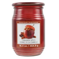 Promo 🤩 Cinnamon Apples Jar Candle by Ashland® 🌟