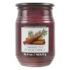 Discount 😀 Cinnamon Stick Jar Candle by Ashland® 🌟 -Ashland Shop 10675794 1
