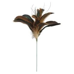 Wholesale ⌛ Natural Brown Peacock Feather Pick by Ashland® 🤩