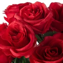 Promo ✔️ 12 Pack: Red Rose Bush by Ashland® ⭐ -Ashland Shop 10676296 20