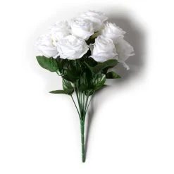 Brand new ⭐ 12 Pack: Cream Rose Bush by Ashland® ✨