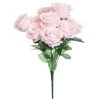New 😉 Pink Rose Bush by Ashland® 🎁 -Ashland Shop 10676301 1