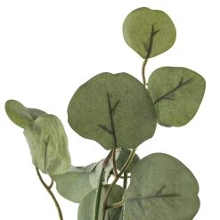 Outlet 😍 6ft. Eucalyptus Garland by Ashland® 🥰 -Ashland Shop 10676308 20