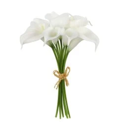 Coupon ⌛ White Calla Lily Bundle by Ashland® ✔️