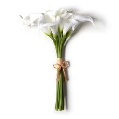 Coupon ⌛ White Calla Lily Bundle by Ashland® ✔️ -Ashland Shop 10676315 21