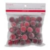 Best reviews of ❤️ Sugared Red Berry Filler by Ashland® ⭐ -Ashland Shop 10676685 1