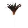 Cheap ✨ Chocolate Peacock Feather Pick by Ashland® ✨