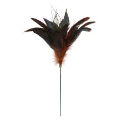 Cheap ✨ Chocolate Peacock Feather Pick by Ashland® ✨
